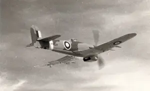 Hawker Typhoon IB, MN524