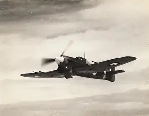 Typhoon Prints: Hawker Typhoon IB, R7700