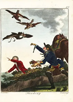 Recreation And Amusement Prints: Hawking for heron, 18th century