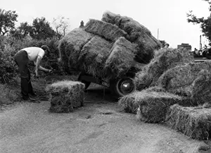 S Pilling Prints: Hay - Accident