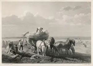 Hay Harvest
