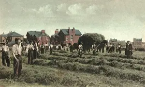 Stephenson Prints: Hay Harvesting, National Childrens Home, Edgworth, Lancs