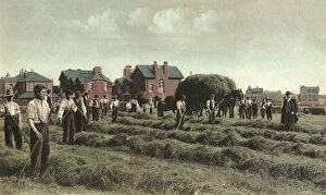 Hay Harvesting, National Childrens Home, Edgworth, Lancs
