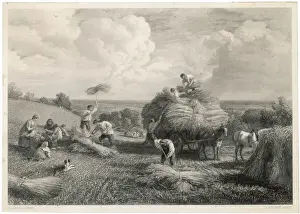 Hay Making