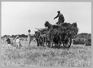 Pugh Prints: The Hay Wagon (Pugh)