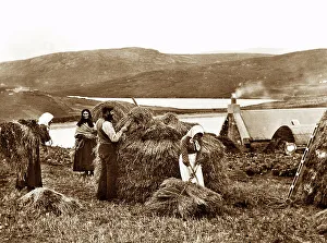 Shetland Prints: The Hay Yard, Lerwick, Shetland, Victorian period