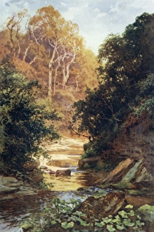 Images Dated 24th June 2011: Hayburn Wyke