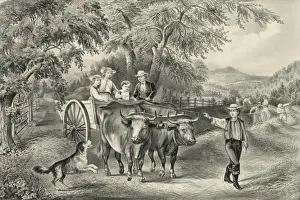 Haying-time the last load