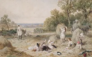 Haymakers Prints: The Haymakers