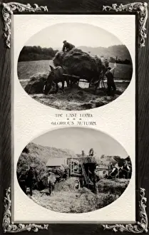 Last Prints: Haymaking