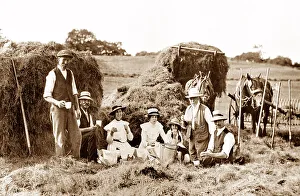 Haymaking