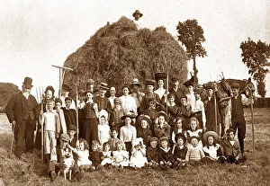 Haymaking