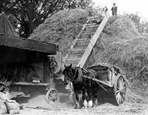 Haymaking