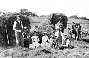 Haymaking early 1900s