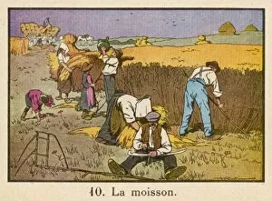 C1920 Collection: Haymaking, France C1920