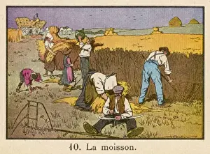Thirst Prints: Haymaking, France C1920