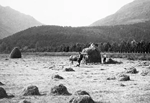 haymaking near Dunoon, Scotland