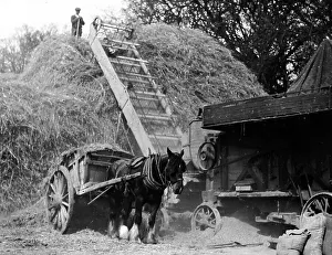 Thrashing Prints: Haymaking Threshing