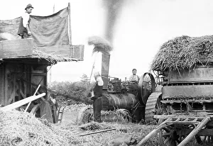 Haymaking with a traction engine