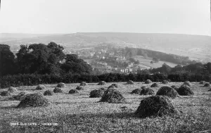 Greenery Prints: Haystacks in Sleights