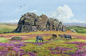 Pony Prints: Haytor Rock, Dartmoor, Devon