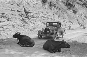 One of the hazards of driving over Kentucky mountain roads