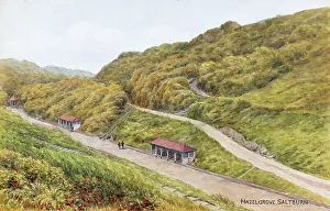 Paths Prints: Hazelgrove, Saltburn-by-the-Sea, North Yorkshire