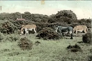 Dartford Prints: He-haw Corner, Dartford Heath, Kent