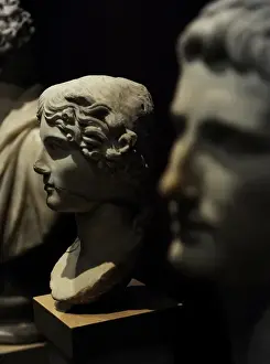 Head of Agrippina the Elder (14 BC-33 AD). Marble