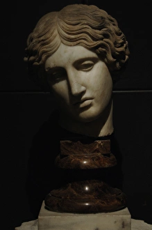 Images Dated 4th March 2009: Head of an Amazon. Marble. Copy from an original of the 5th
