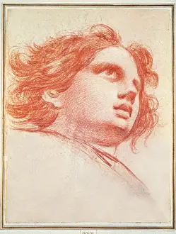 Head of an Angel