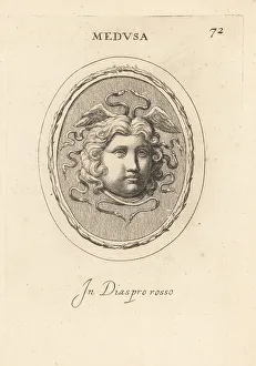Medusa Prints: Head of the Gorgon Medusa with snakes and wings in her hair