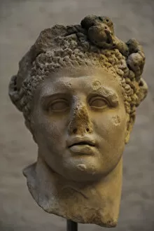 Images Dated 29th December 2012: Head of a Heracles statue. Roman sculpture
