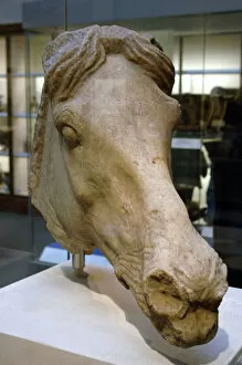Head of a horse. 4st century BC. Greek art