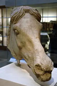 Mane Prints: Head of a horse. 4st century BC. Greek art