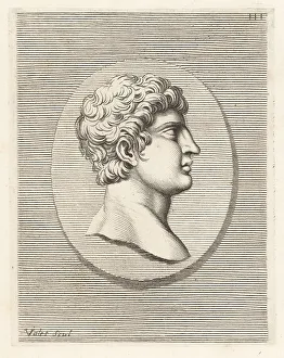 Guillaume Vallet Prints: Head of a young man with short curly hair