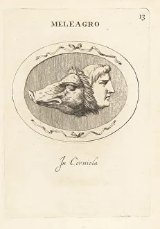 Carnelian Prints: Heads of Meleager and the Calydonian boar
