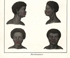 Southafrica Prints: Heads of San men, South Africa, from the front