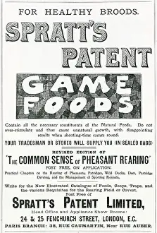 Biscuits Prints: Healthy patent biscuits for dogs, supplied in sealed bags. Date: 1901