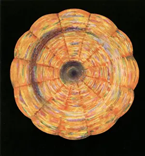 The Heart Chakra