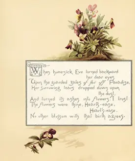 Tricolor Prints: Heartsease, Viola tricolor, with calligraphic poem in box
