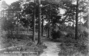 Shadows Prints: On the Heath