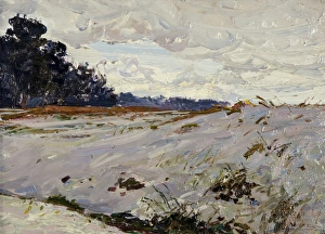 Images Dated 1st September 2010: Heath with Trees in Background