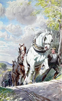 Heavy horses pull a Timber Wagon uphill