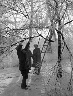 Images Dated 18th March 2011: Heavy Snowfall