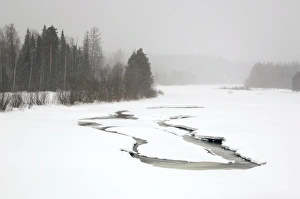 Visibility Gallery: Heavy snowfall and reduced visibility over river Sosva