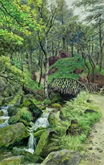 Moor Collection: Heber's Ghyll, Ilkley and Ilkley Moor, West Yorkshire
