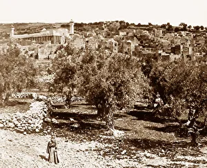 Hebron Prints: Hebron, Palestine