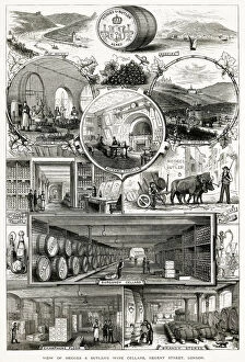 Hedges & Butlers Wine 1890