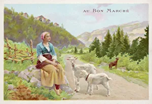 Switzerland Gallery: Heidi & Goats / Spyri